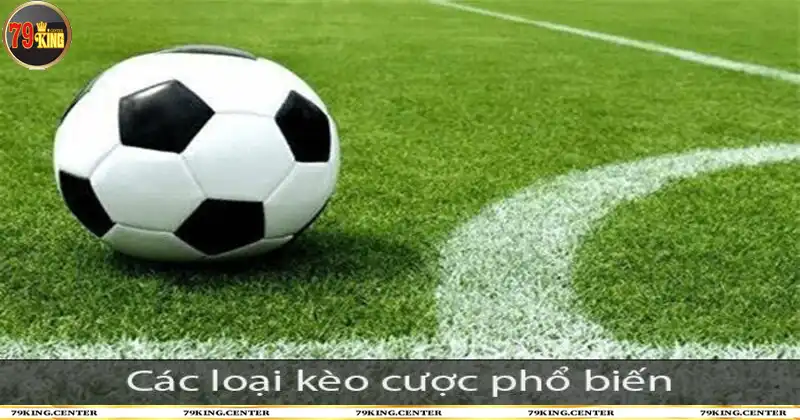 Đa dạng kèo cược tại 79king thể thao