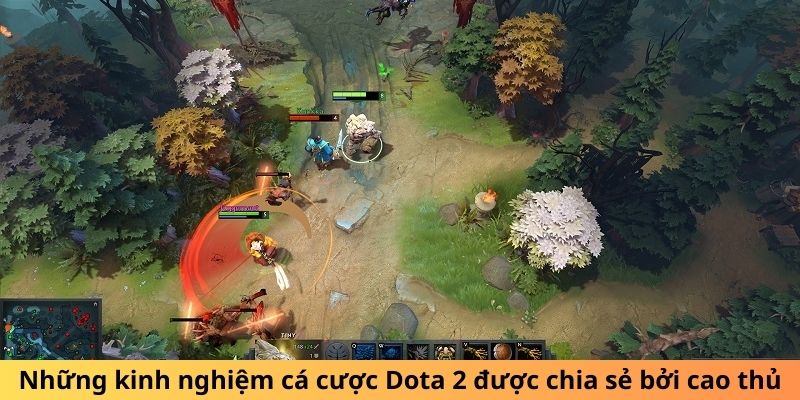 Những kinh nghiệm chơi Dota 2 được chia sẻ bởi cao thủ